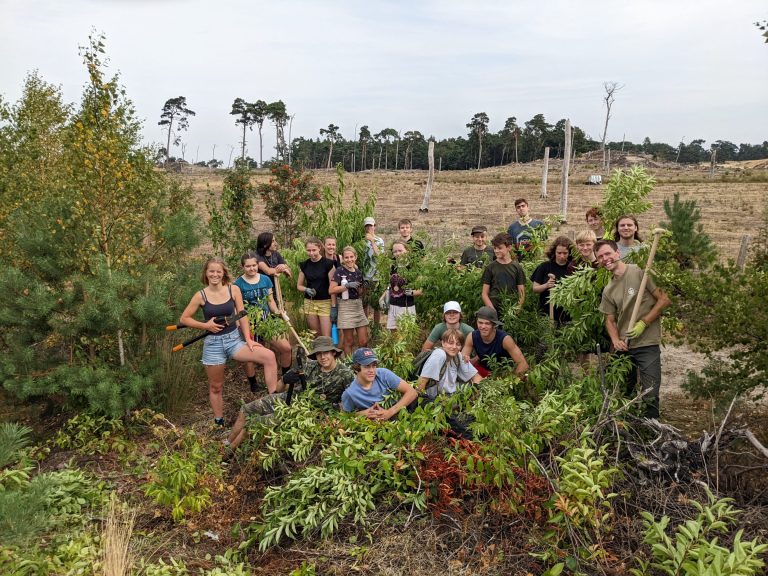 Junior Rangerkamp 2022 - verwijderen vogelskers bij Natuurpunt