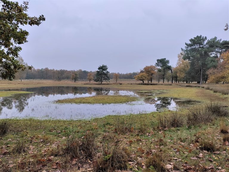 Kortenhoeff - bronven - wandelpad muis - november 2022 - Grenspark