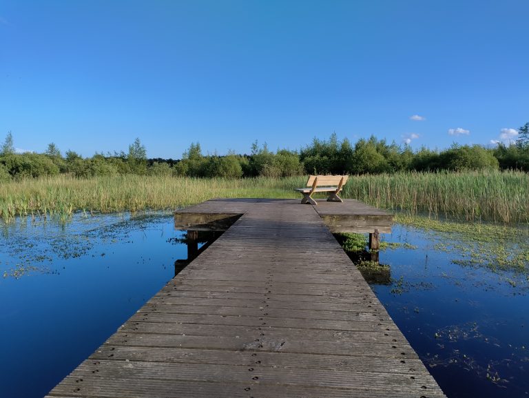 Kortenhoeff - wandelpad uil - bankje met vlonder mei 2022