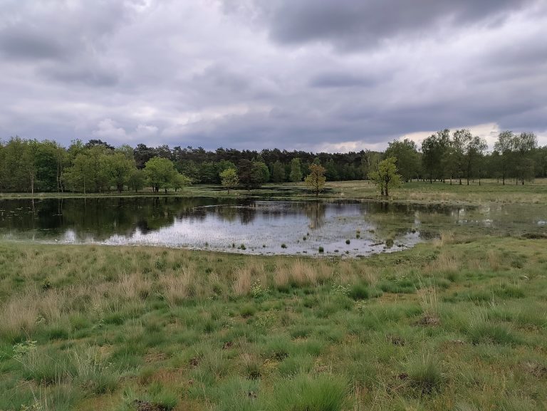 Kortenhoeff - wandelroute muis - water - ven - mei 2024