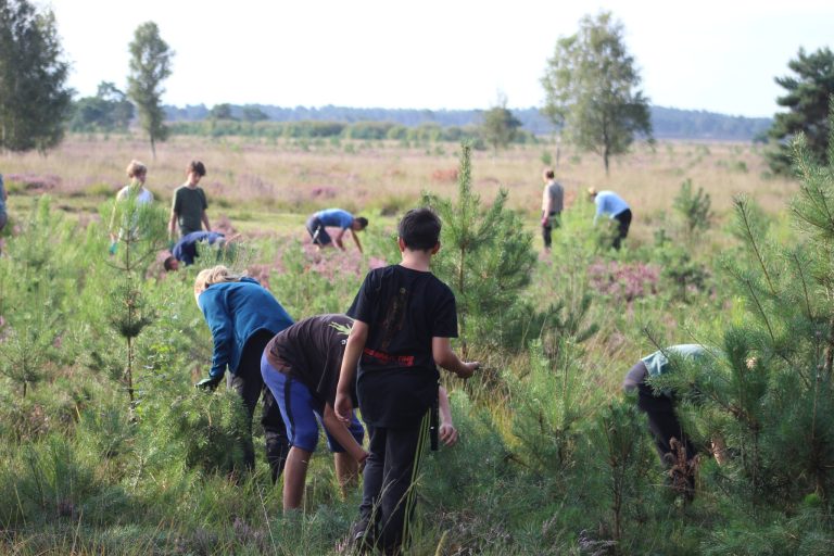 2023 - Junior Rangers - dennetjes verwijderen - ANB 4