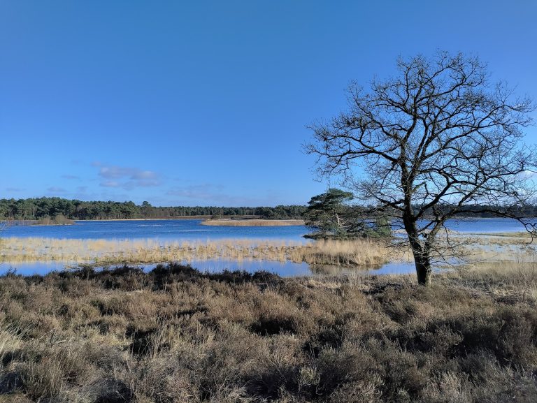 wandeling Fuut - Kleine Meer - jan 2024