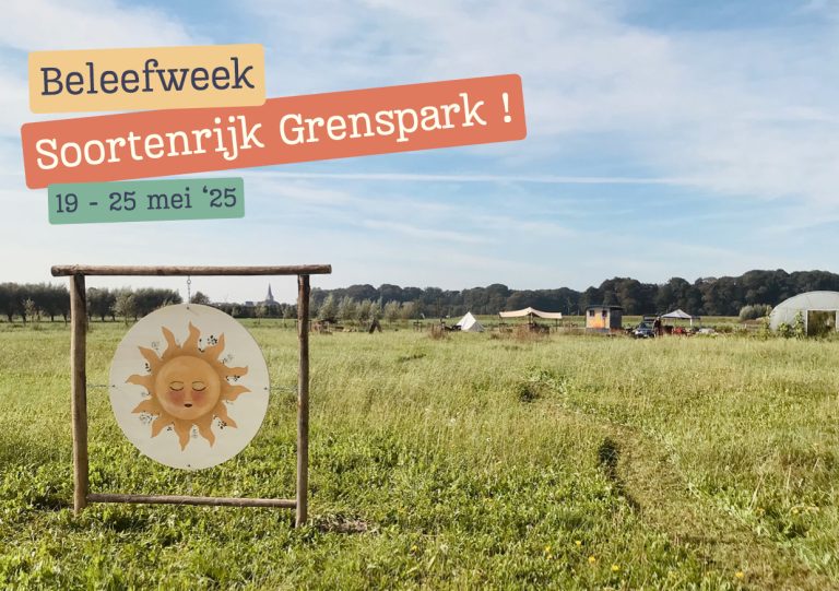 activiteit zonneveld