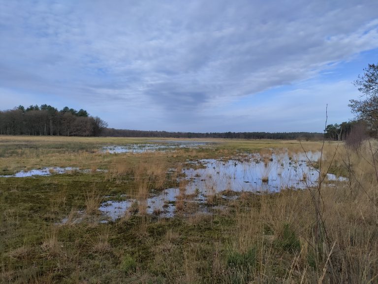 Kleine Meer - wandelroute Fuut - dec 2023 - Grensparkarchief