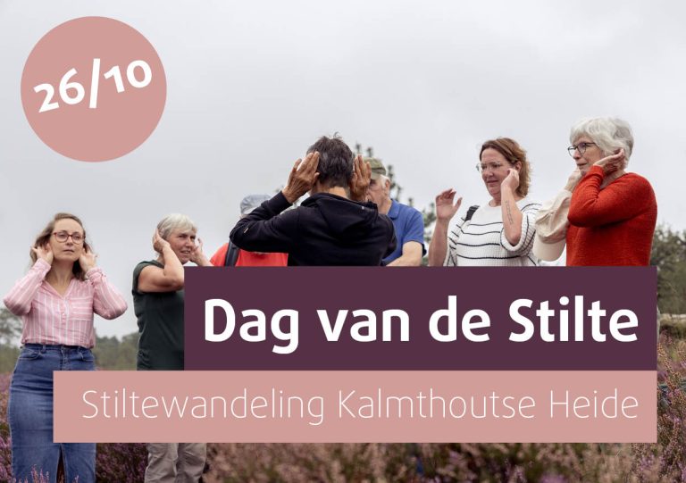 visuals activiteiten