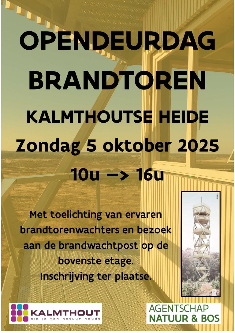 affiche brandtoren