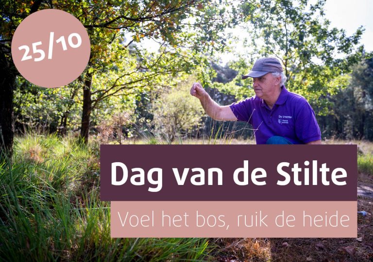 voel het bos