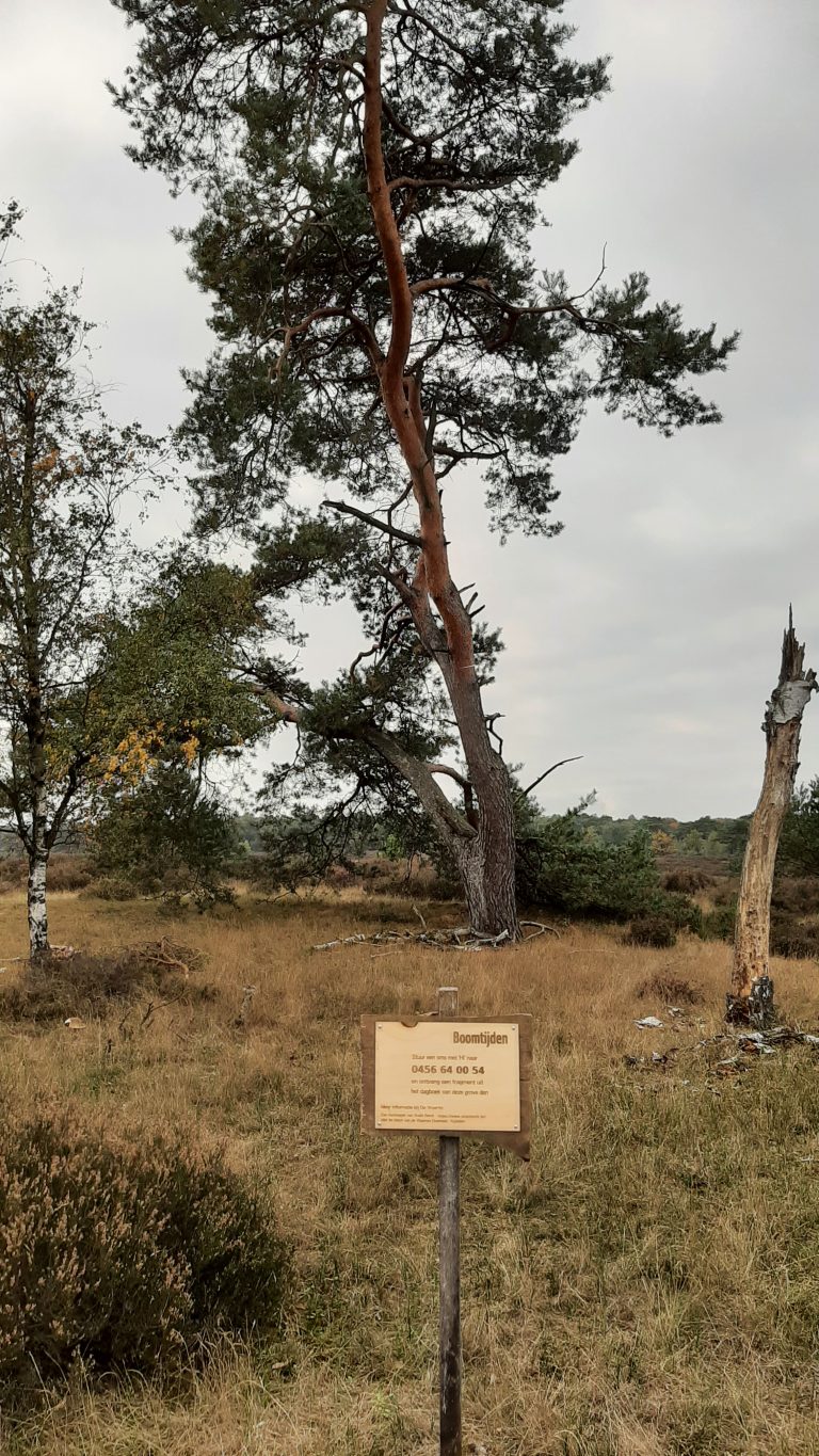 grove_den_kalmt_met_bordje