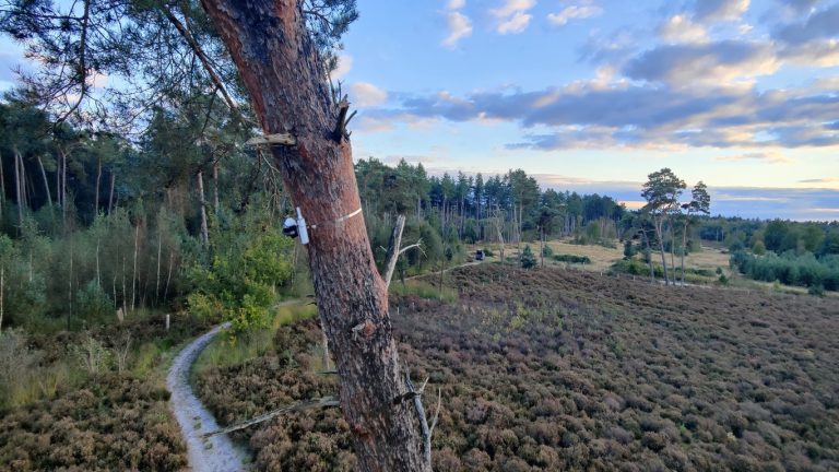 charset=InvalidCharsetId 48576