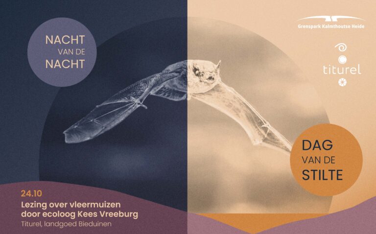 Lezing Vleermuizen activiteit website
